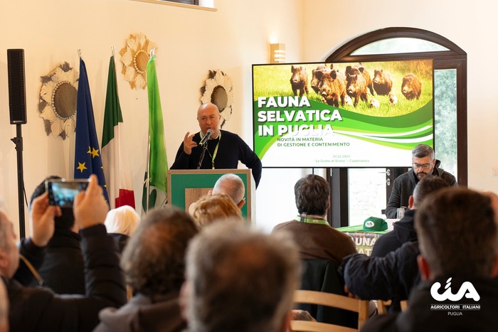 Puglia3A Arriva L27Accordo Per L