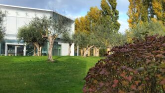 Ricerca Avanzata Sul Metabolis
