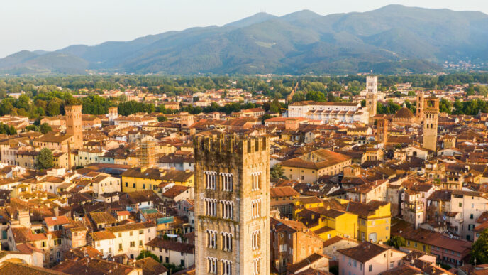 Ricerca In Corso Per La Scompa