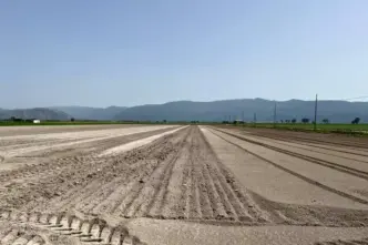 Riconoscimento Dello Stato Di