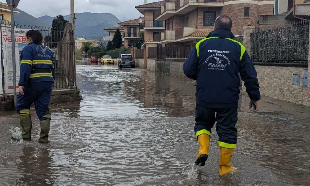 Rientro A Scuola Per Gli Stude