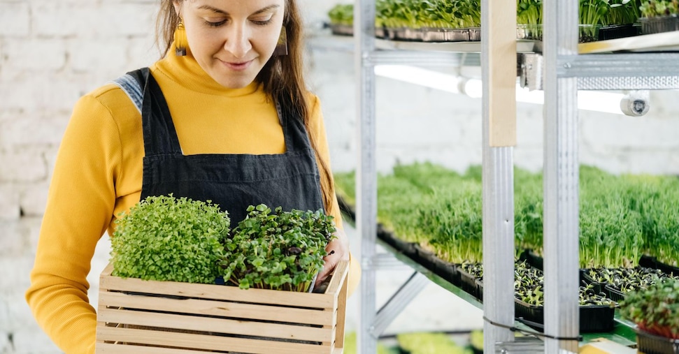 Riforma Della Tassazione Agric