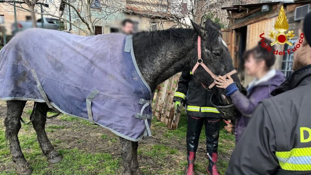 Salvataggio In Extremis Per Un 1
