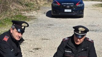 Salvato Un Cane Ferito Lungo L