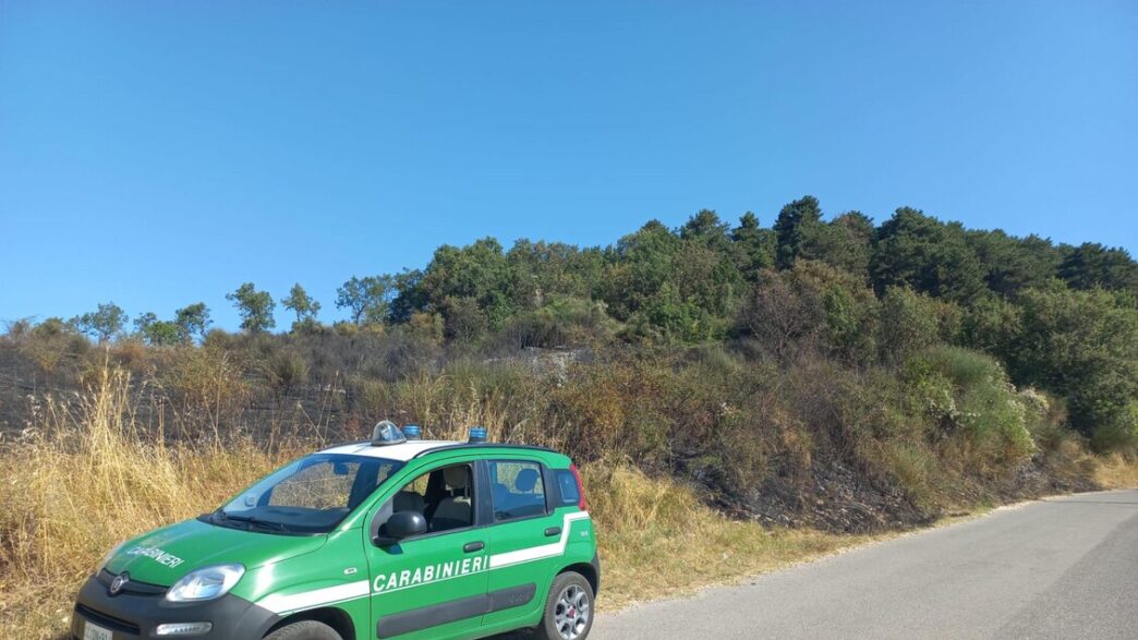 Sanzioni Per Un Agriturismo De