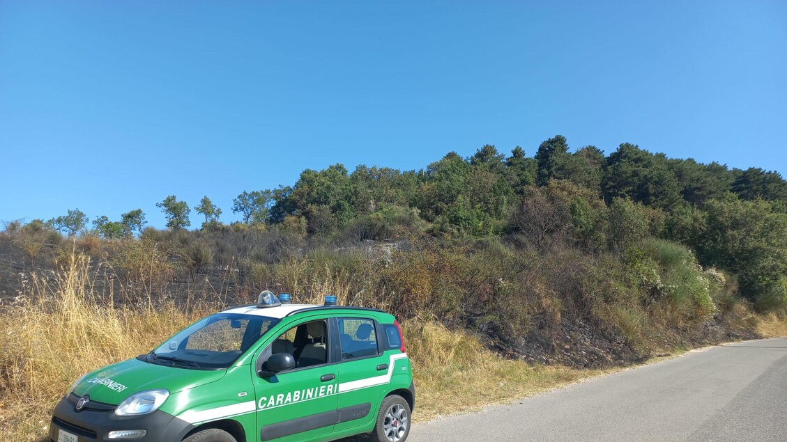 Sanzioni Per Un Agriturismo De