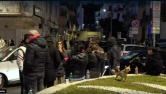 Sciame Sismico Nei Campi Flegr