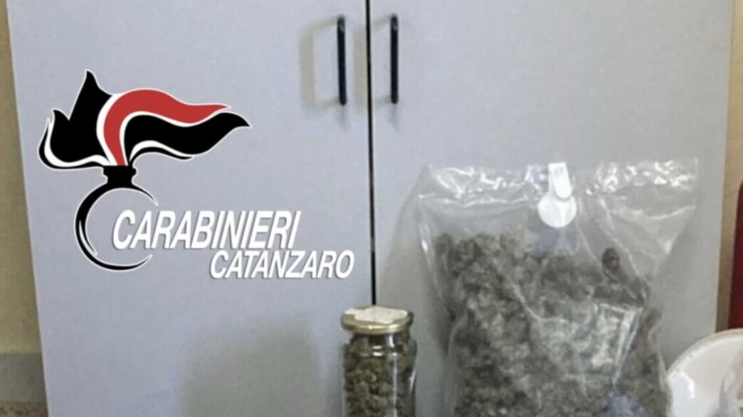 Scoperta Di Marijuana A Maida3A