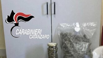 Scoperta Di Marijuana A Maida3A