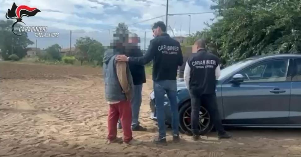 Scoperto Un Fiorente Traffico