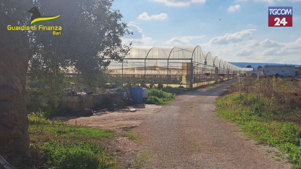 Sequestro Di 610 Chili Di Mari