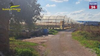 Sequestro Di 610 Chili Di Mari