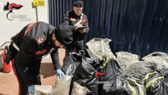 Sequestro Record Di Marijuana