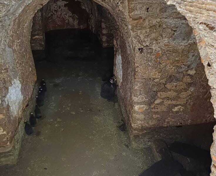 Sezze Sotterranea3A Continui Gl
