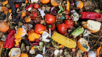 Spesa Alimentare Nelle Marche3A