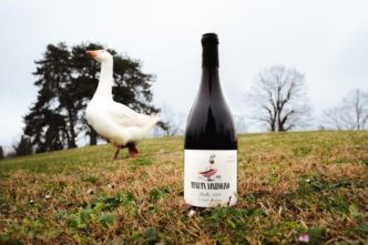 Tenuta Mazzolino Presenta Gise