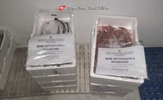 Terracina3A Sequestrati 25 Kg D