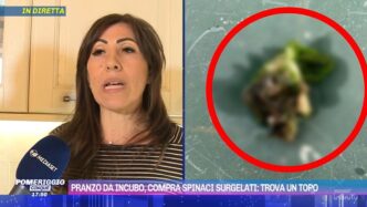 Terribile Scoperta Nel Surgela