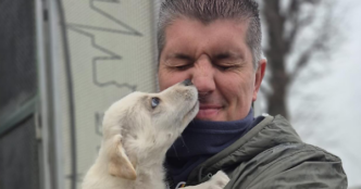 Tragico Incidente Sulla Provin