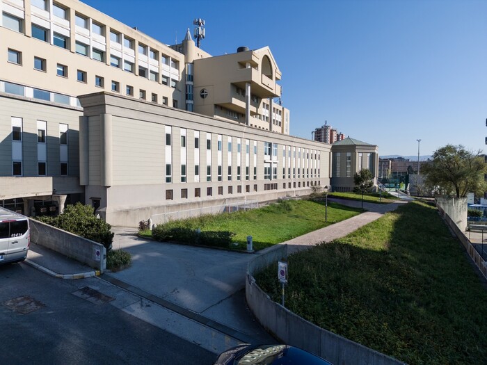 Trieste Campus Avvia Il Proget