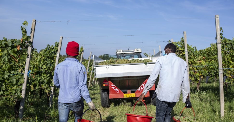 Truffe E Traffico Di Visti3A In