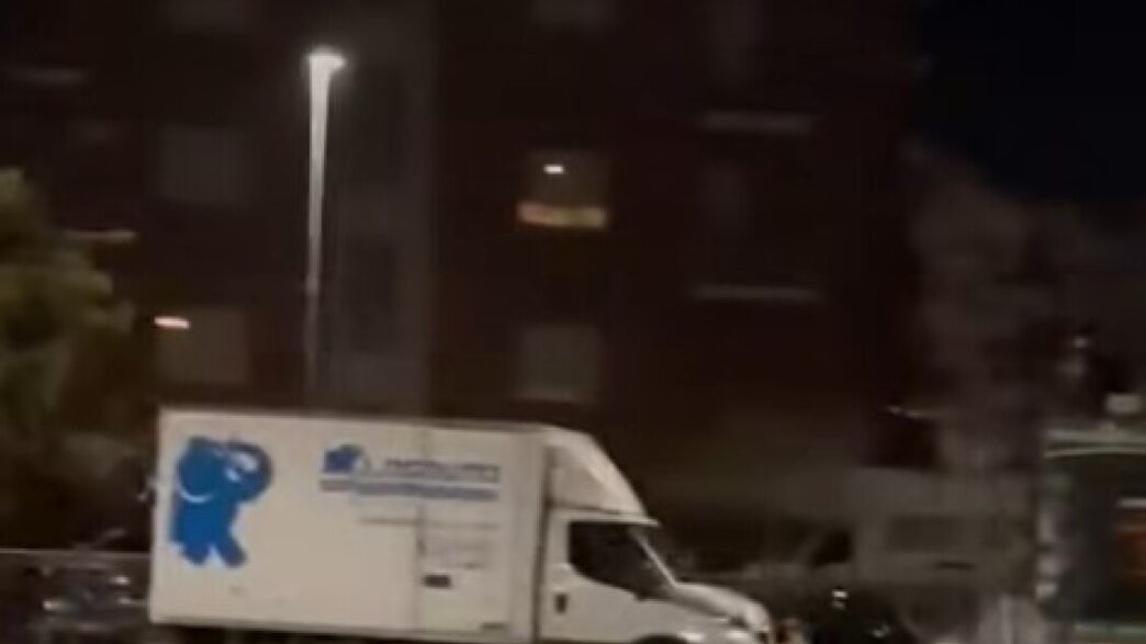 Un Lupo Tra Le Strade Di Jesi3A