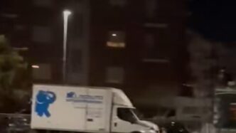 Un Lupo Tra Le Strade Di Jesi3A