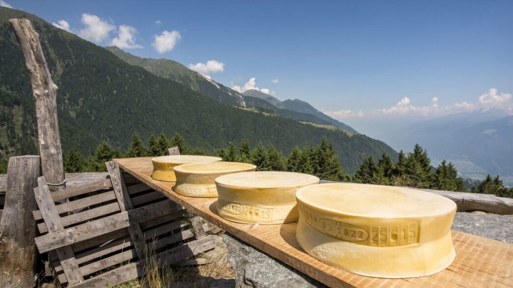 Valtellina Casera E Bitto3A La