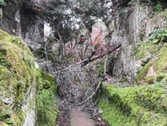 Vento Forte Provoca Il Crollo