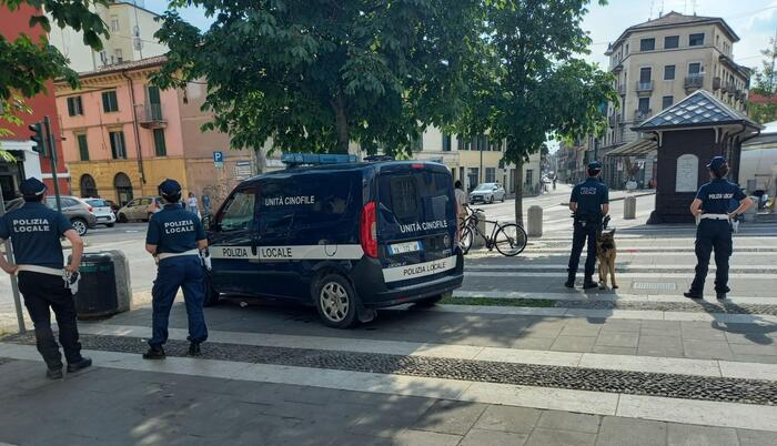 Verona3A Arresto Di Un Rapinato