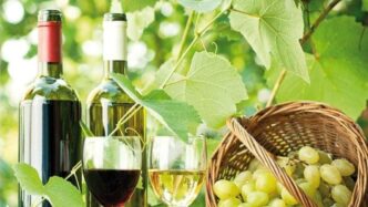 Vino E Politiche Europee3A Preo