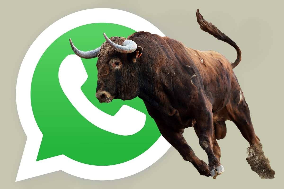 Modalità Toro Di Whatsapp Come Attivarla