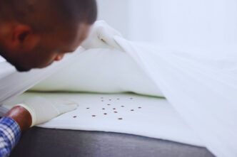 Prevenire Le Infestazioni Di Cimici Nel Letto