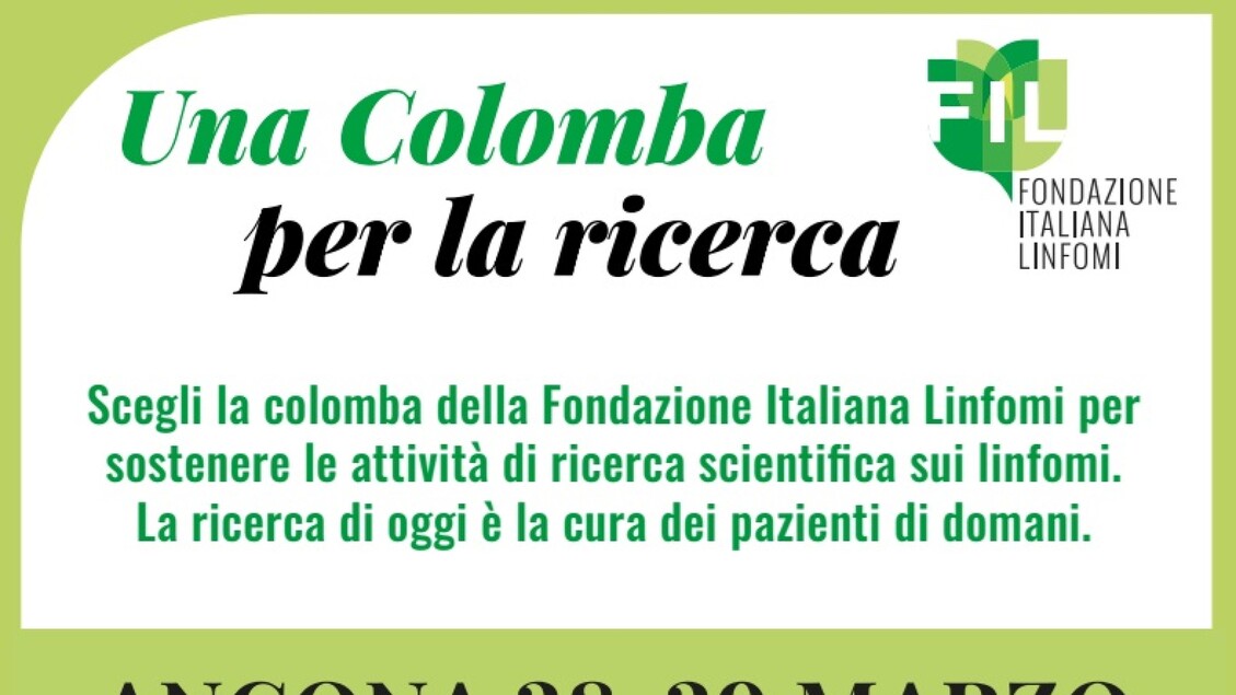 22Arriva Ad Ancona La Campagna