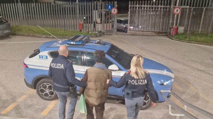 Aggressione E Danneggiamento N