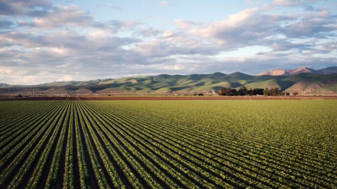 Agricoltori Di Italia2C Stati U