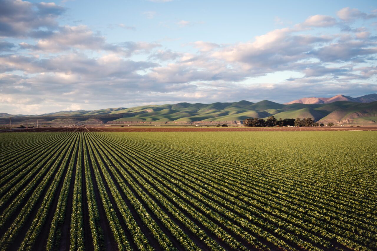 Agricoltori Di Italia2C Stati U