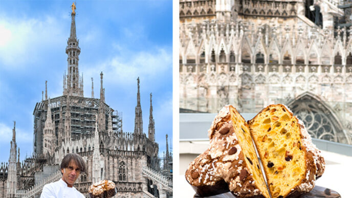 Alla Scoperta Della Colomba Pa
