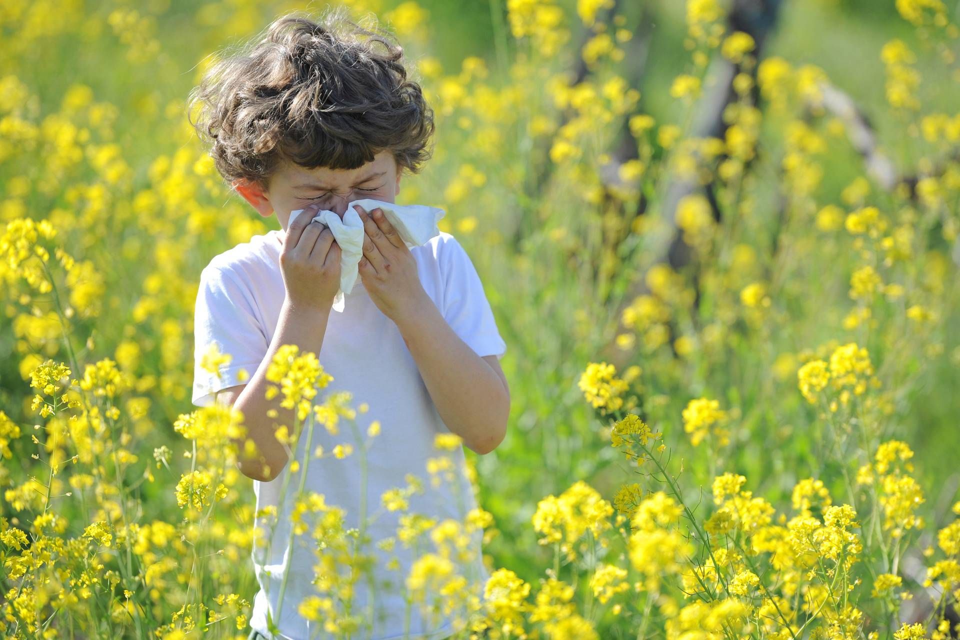 Allergie Primaverili3A La Guida