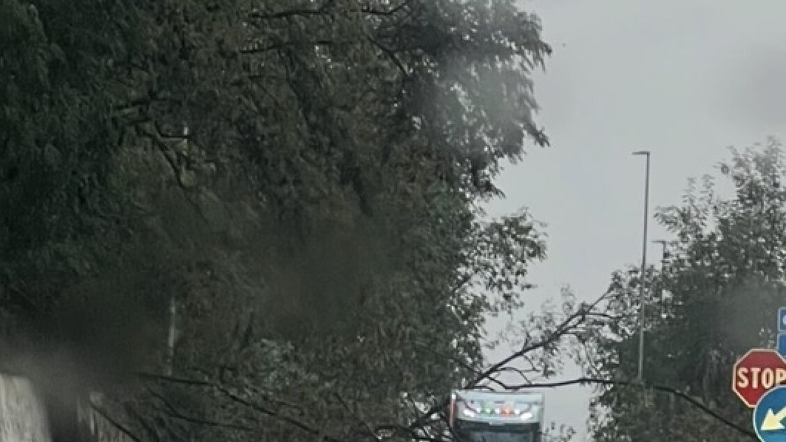 Allerta Meteo Arancione In Cal