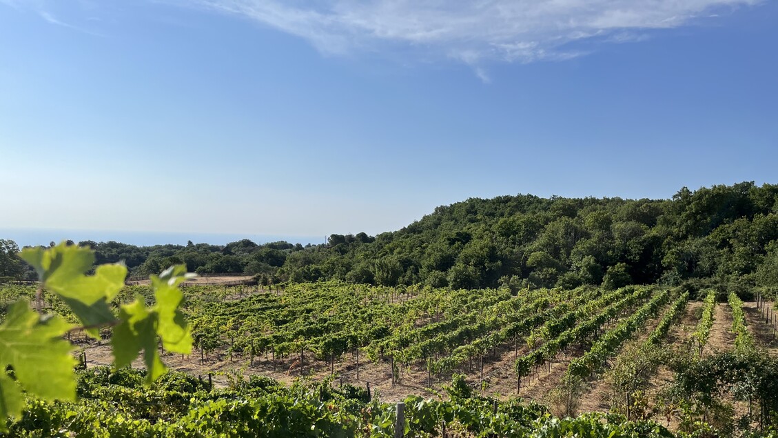 Ammura3A La Nuova Tenuta Della