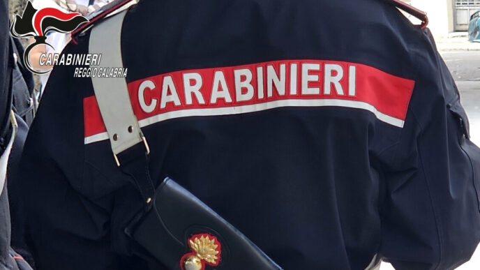 Ampio Controllo Dei Carabinier