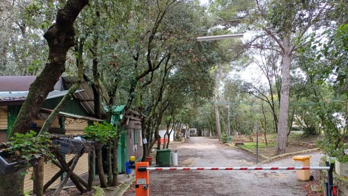Ancona Avvia La Selezione Per