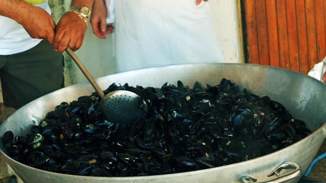 Ancona Investe Nella Salvaguar