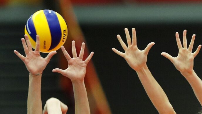 Arianna Manfredini2C Il Debutto