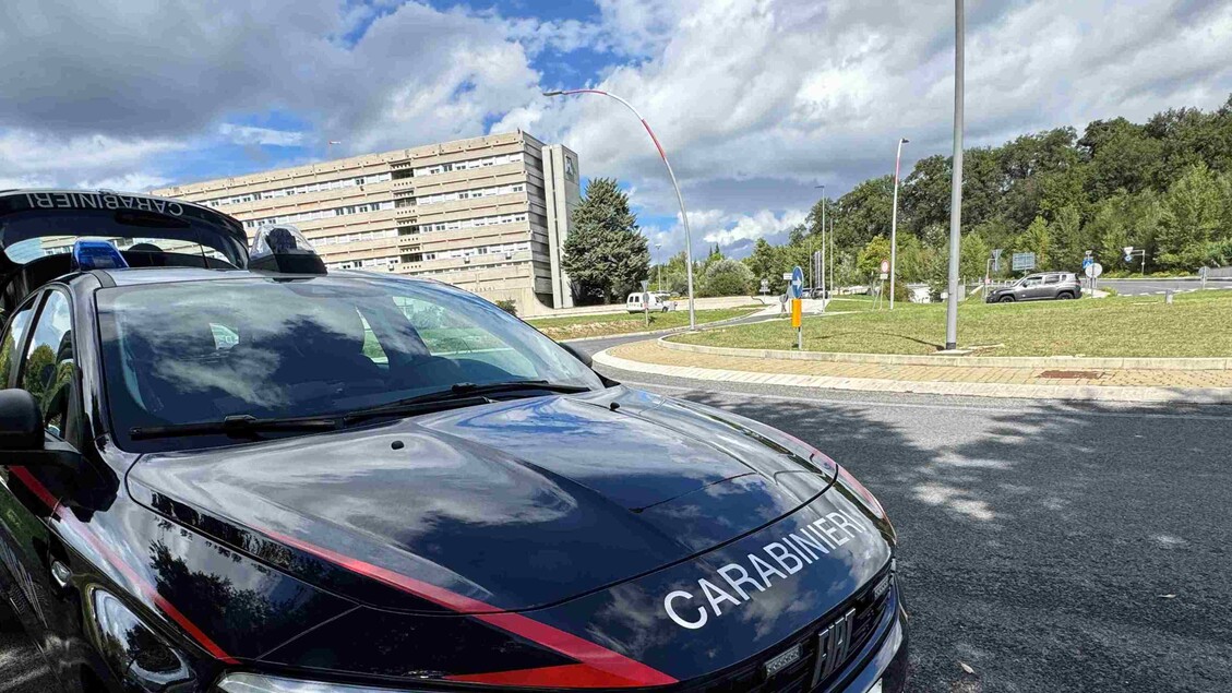 Arresto Per Maltrattamenti In