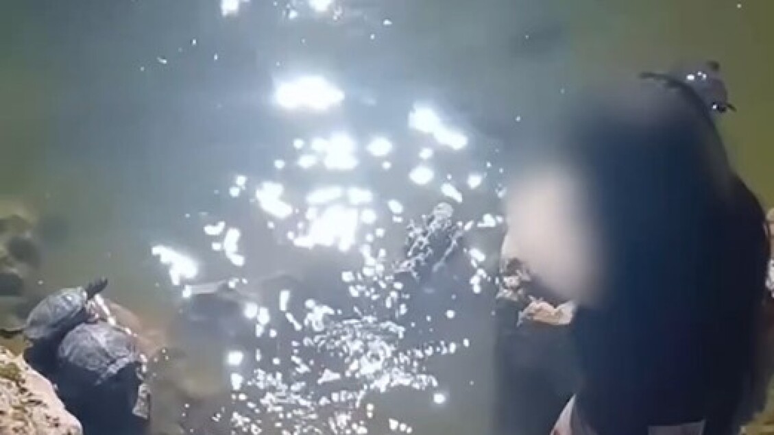 Atto Di Violenza Nel Parco Di