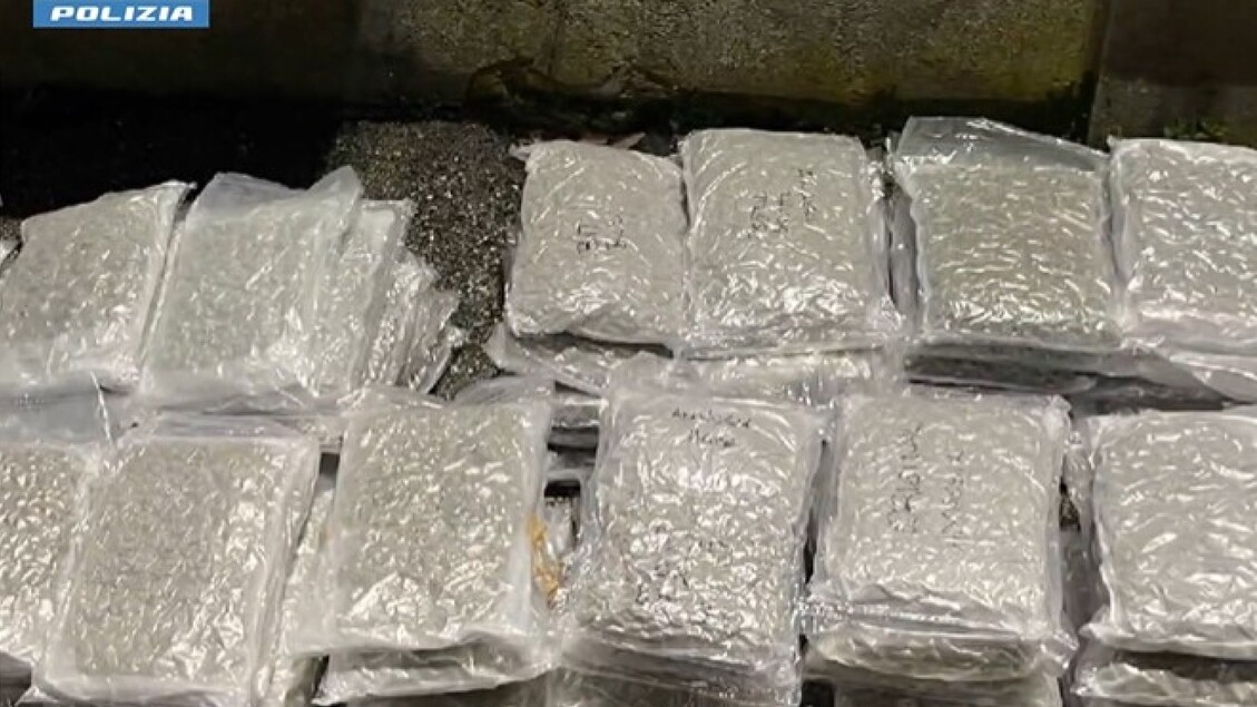 Bloccato Traffico Di Marijuana