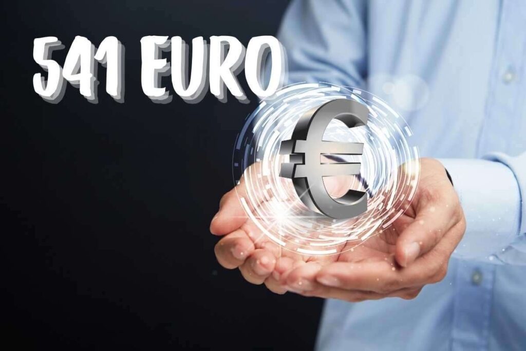 Bonus 541 euro a chi spetta