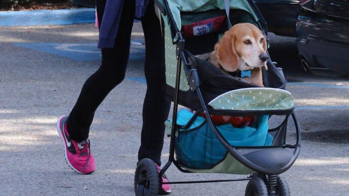 Cani Al Posto Dei Bambini3A Il